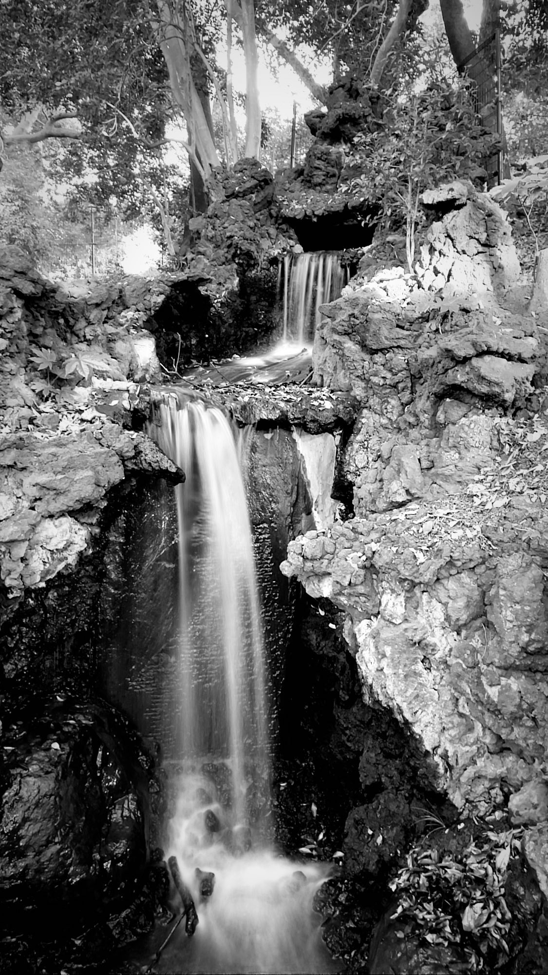 Image for post 1636191832