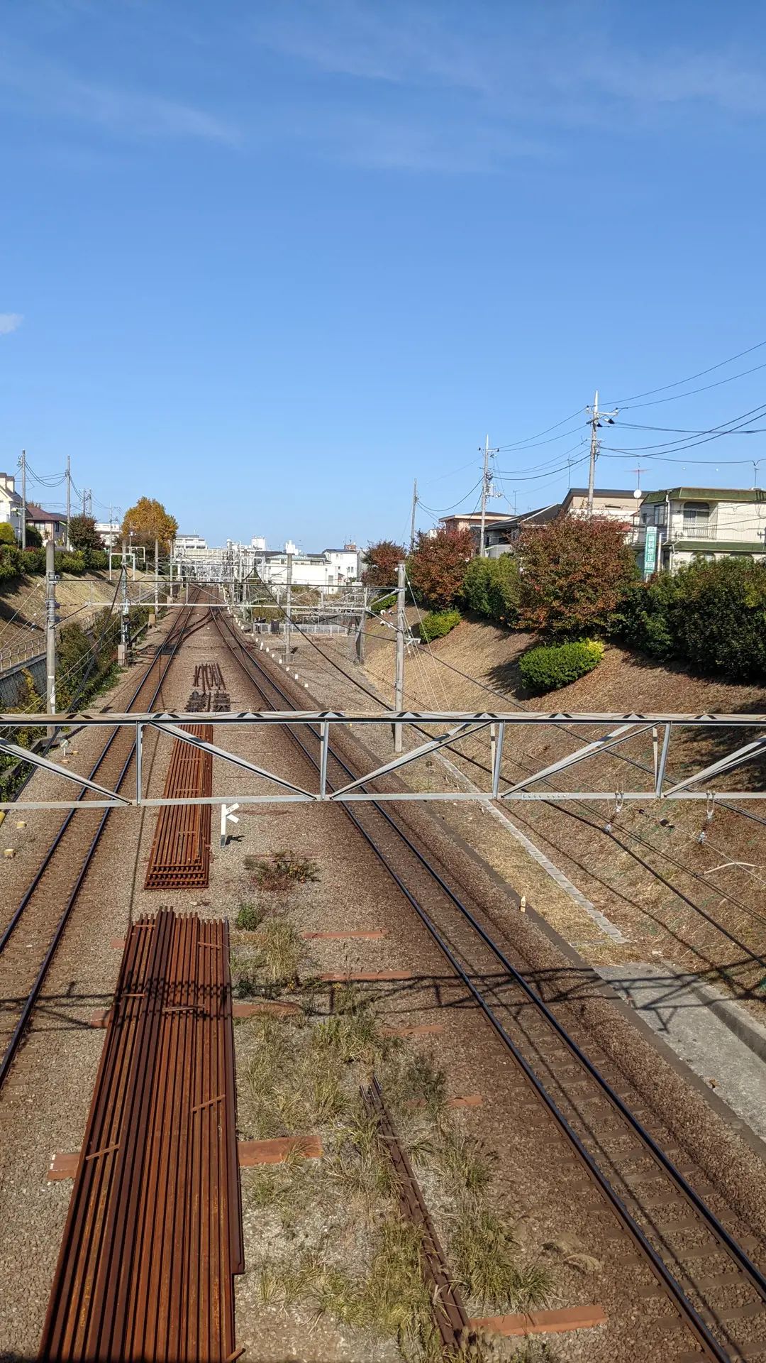 Image for post 1636174861