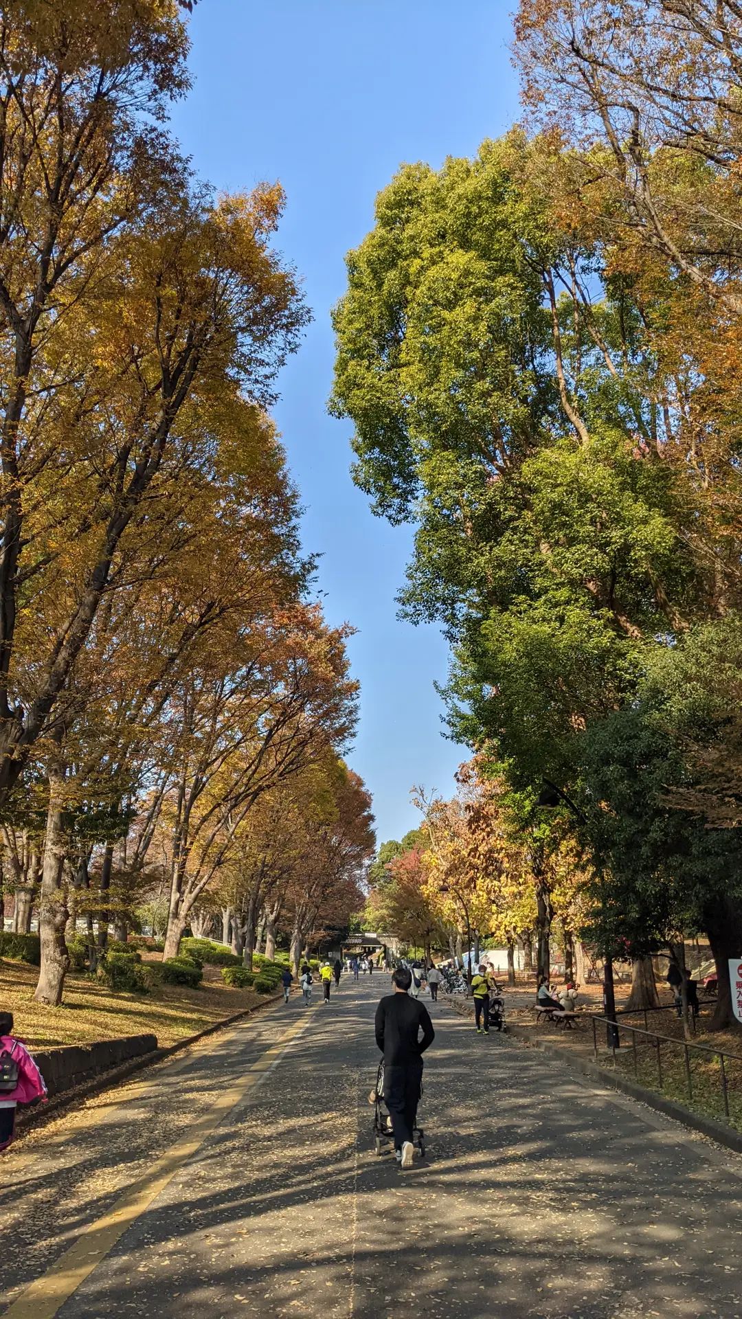 Image for post 1637386952