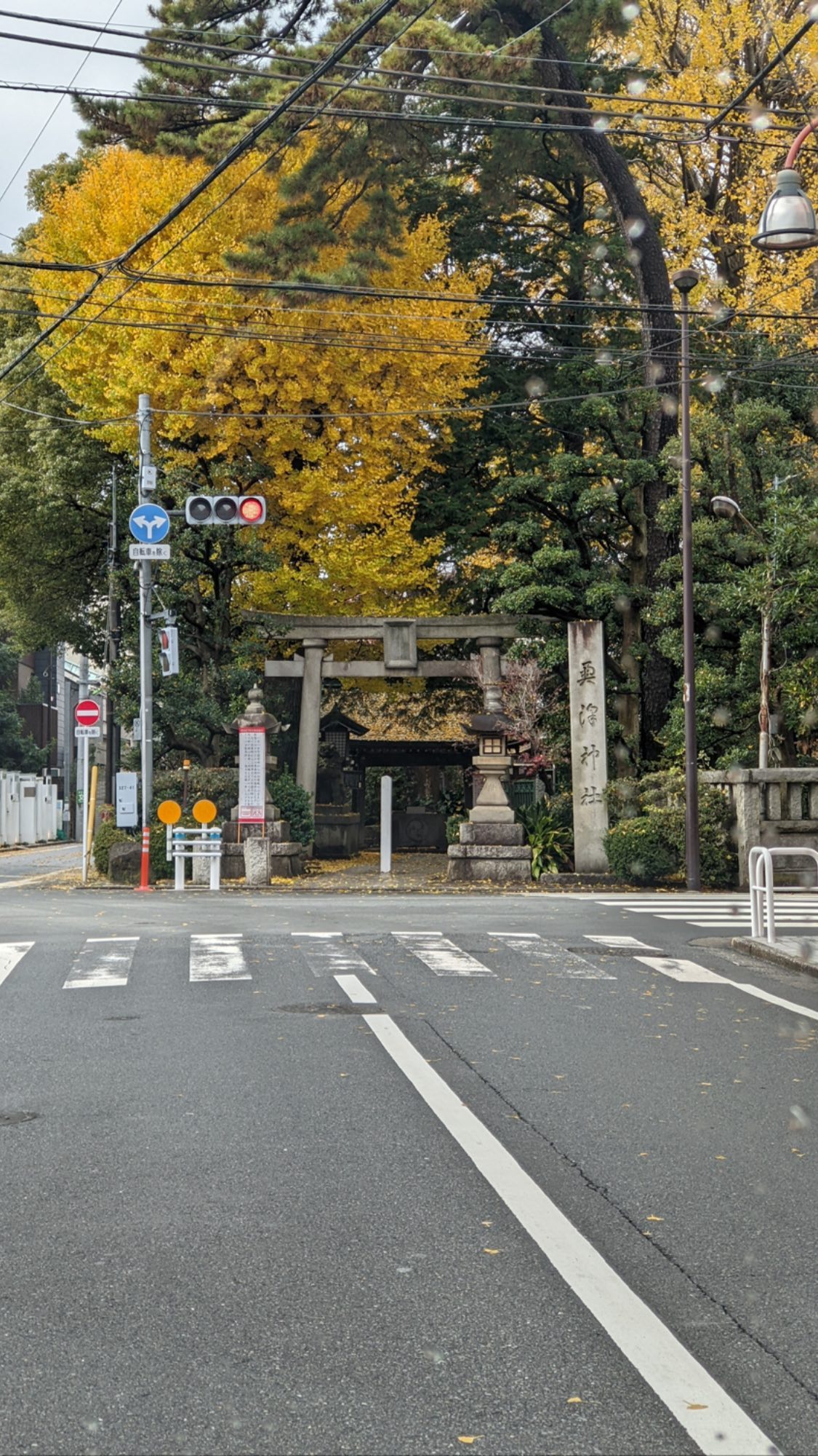 Image for post 1639799704
