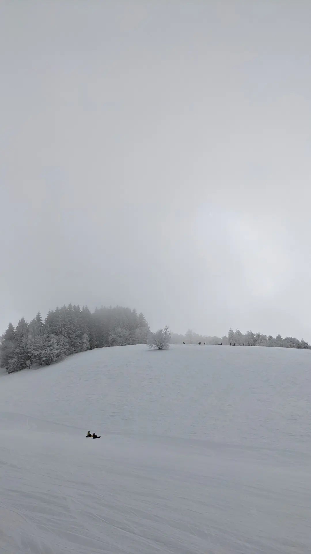 Image for post 1641825271