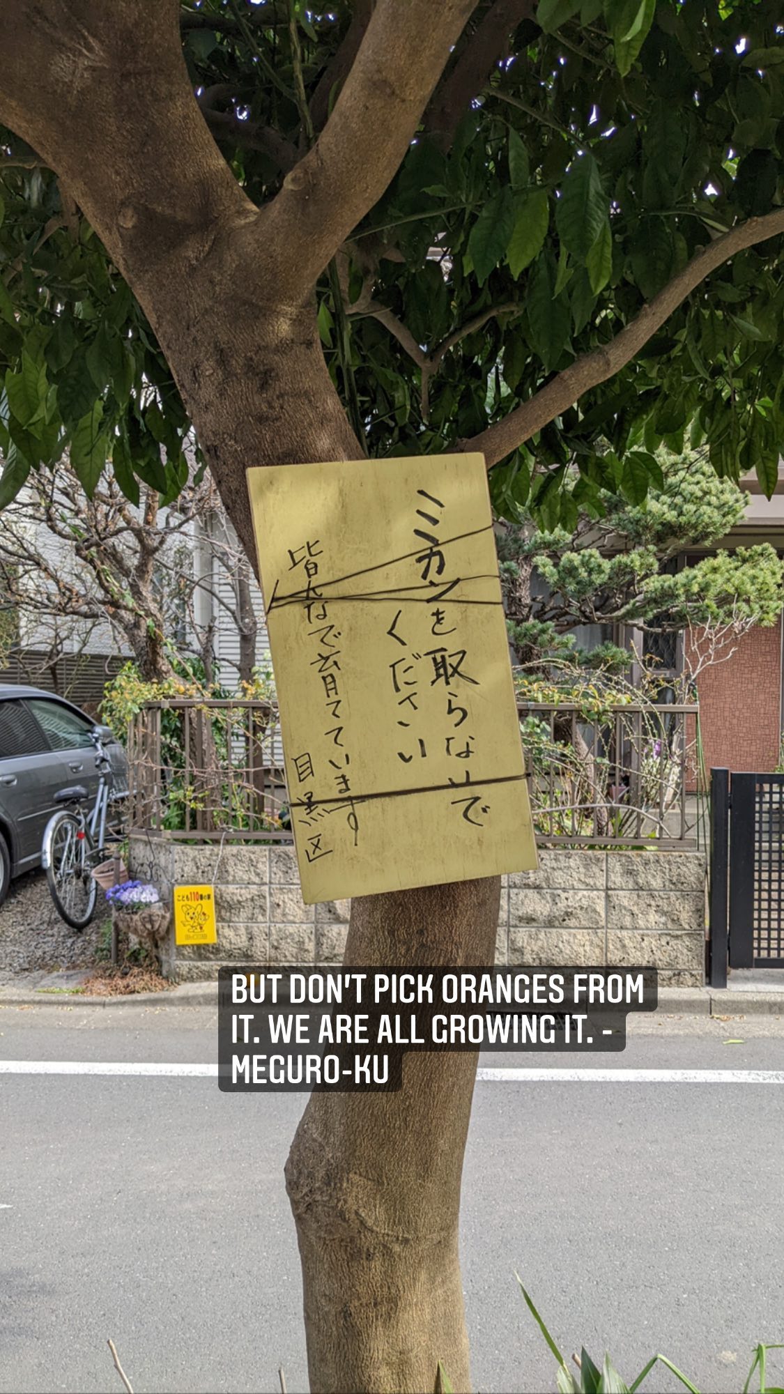 Image for post 1647172760