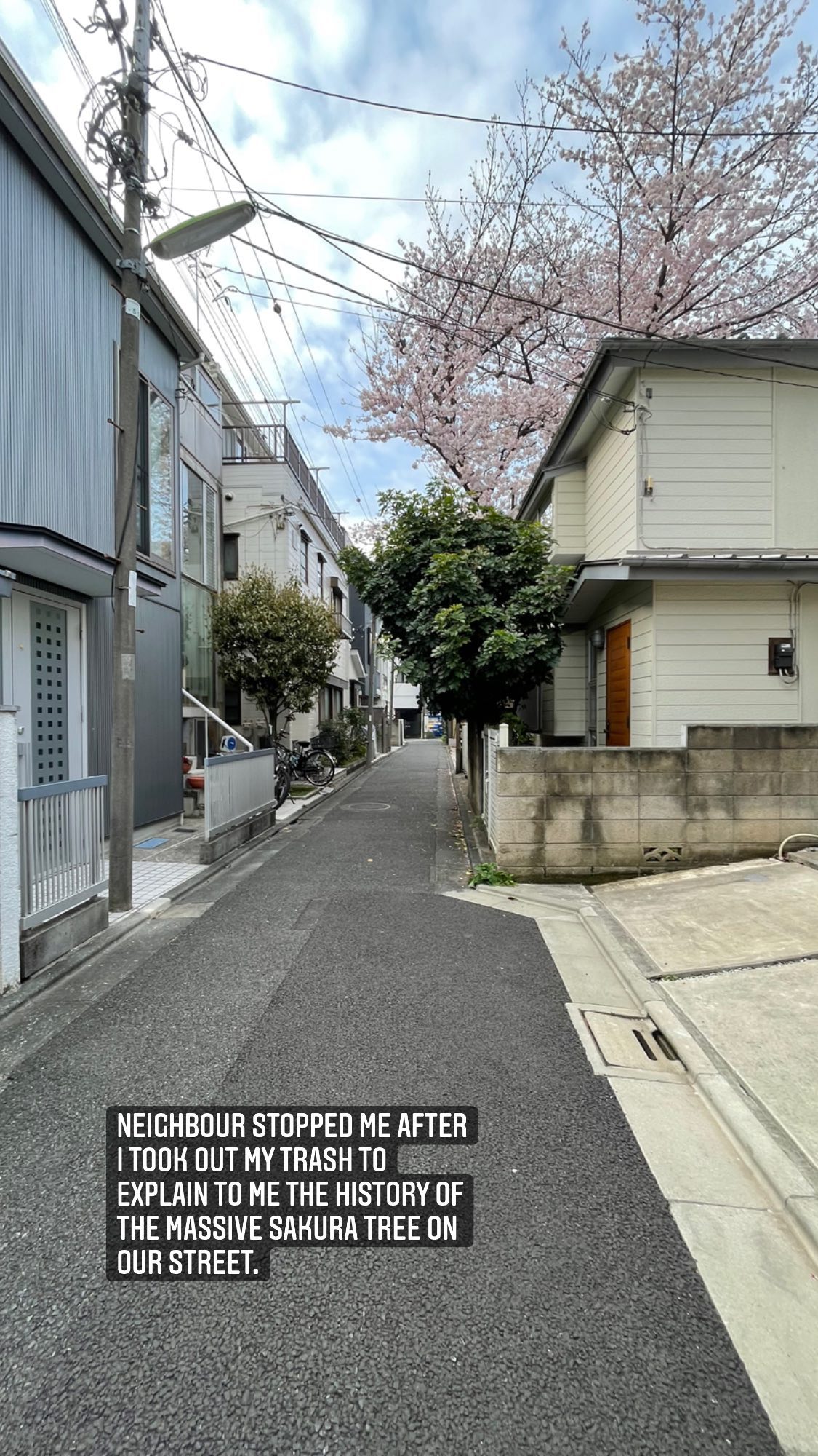Image for post 1648643596