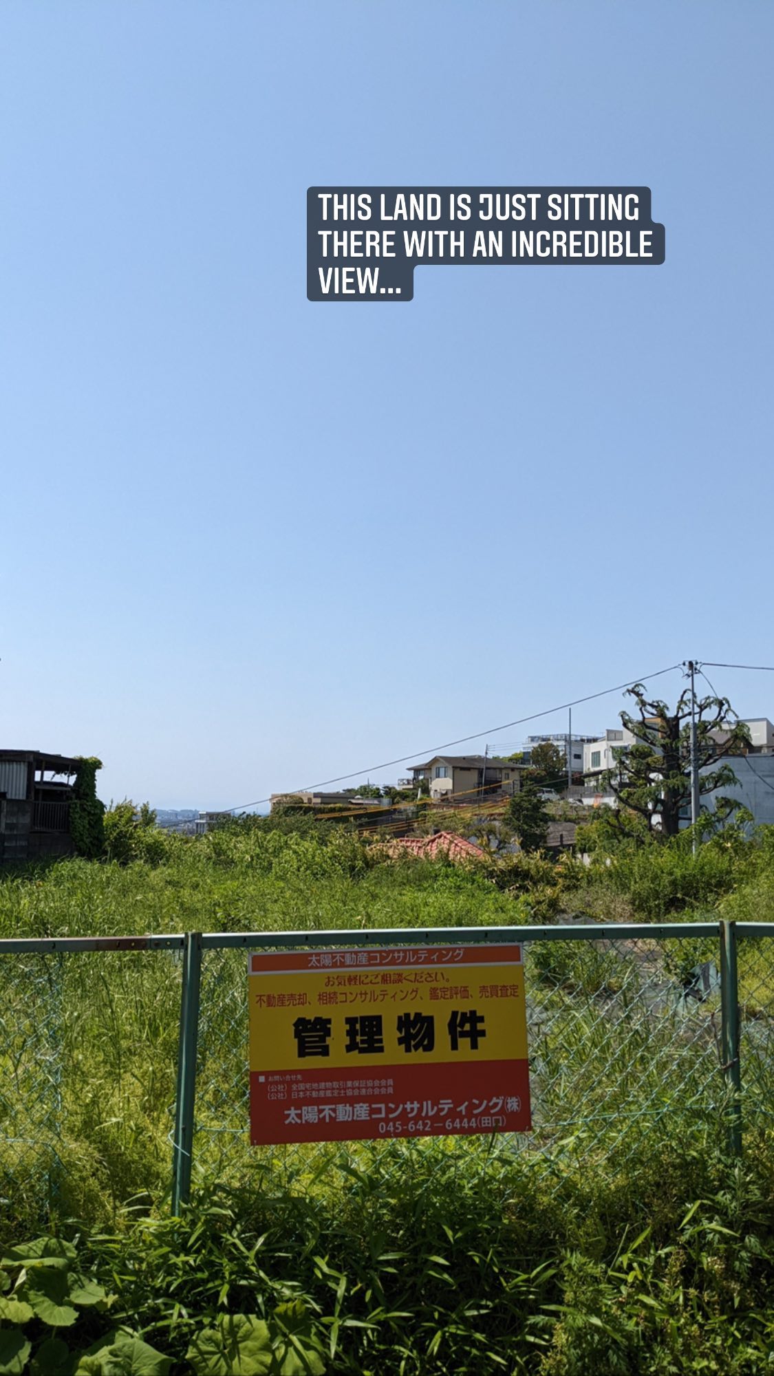 Image for post 1651720164
