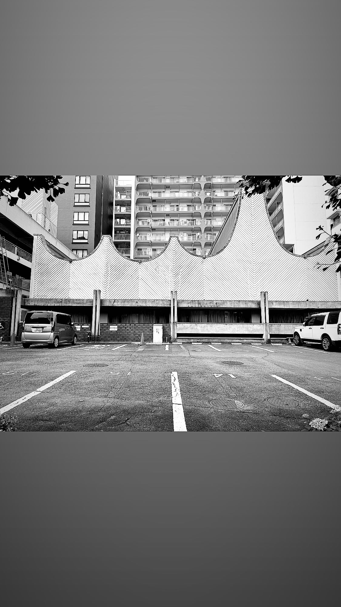 Image for post 1653051754