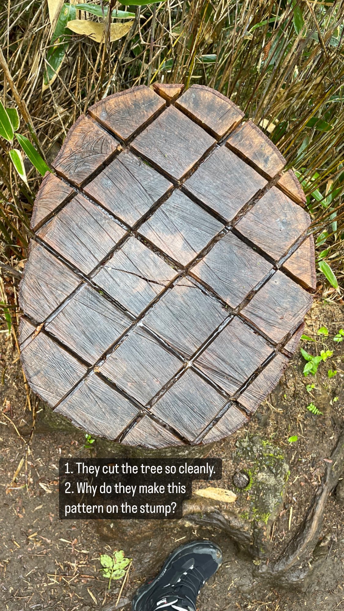 Image for post 1655560960