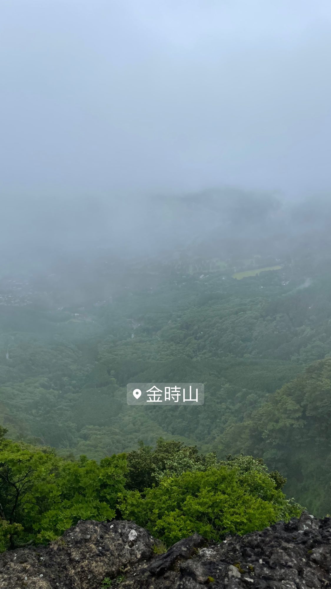 Image for post 1655560872