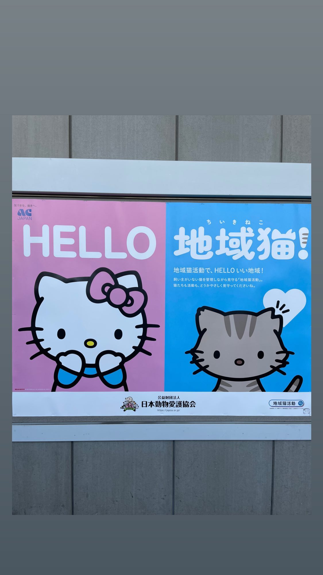 Image for post 1659233417
