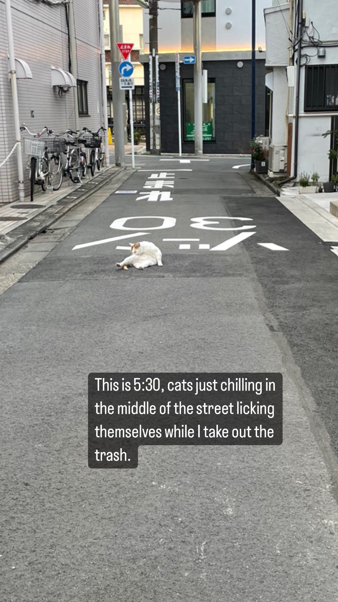 Image for post 1660184135