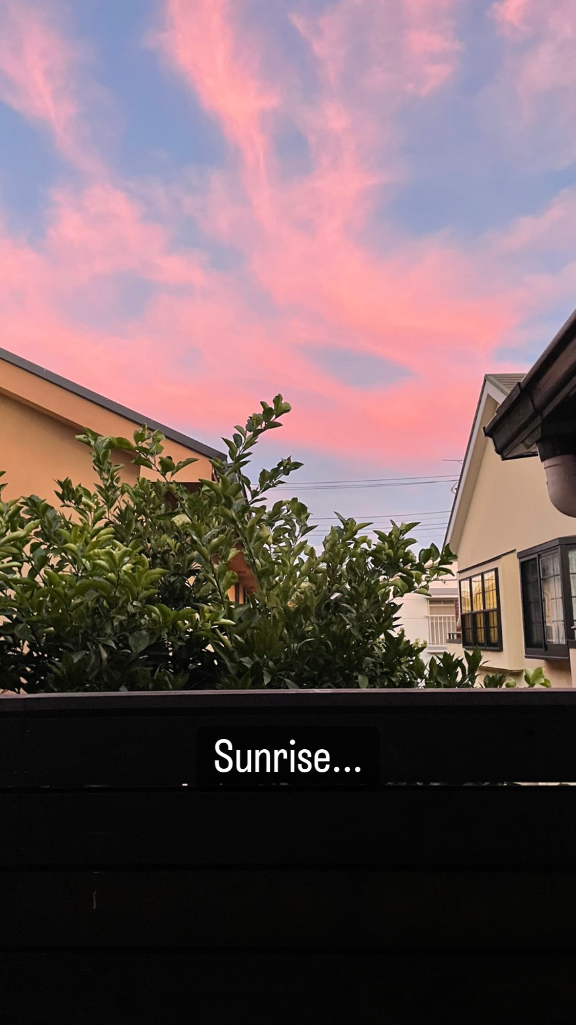 Image for post 1660163976