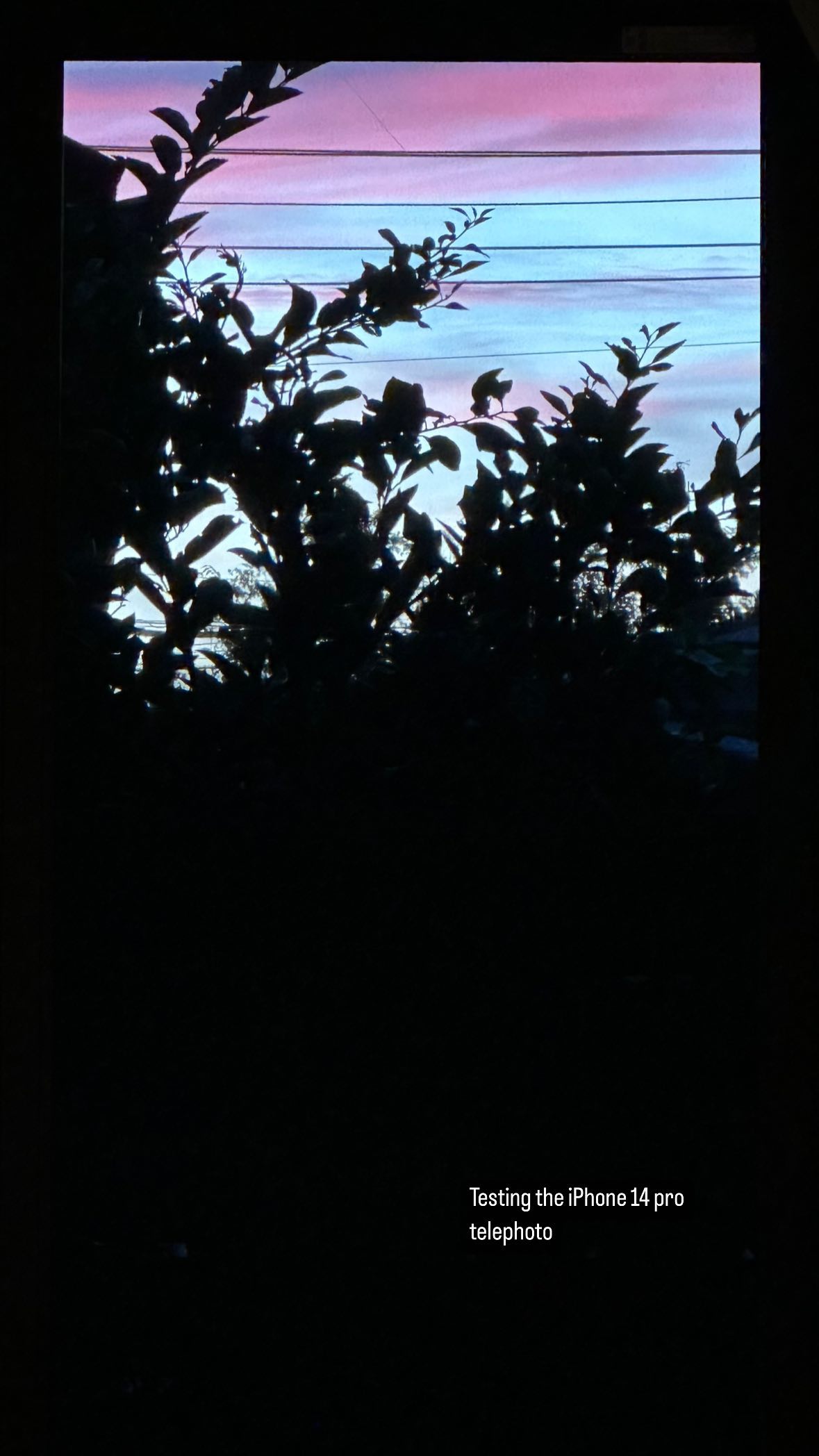 Image for post 1665490471