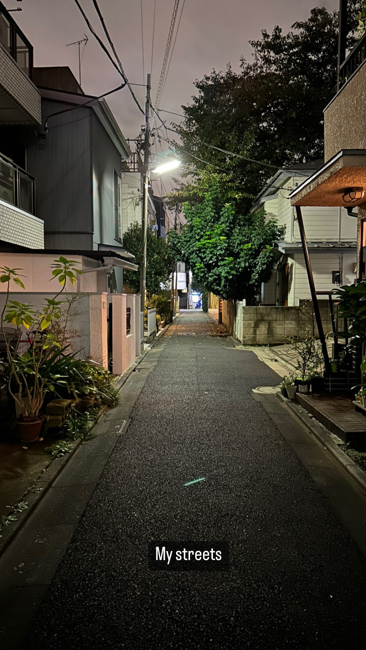 Image for post 1666098209