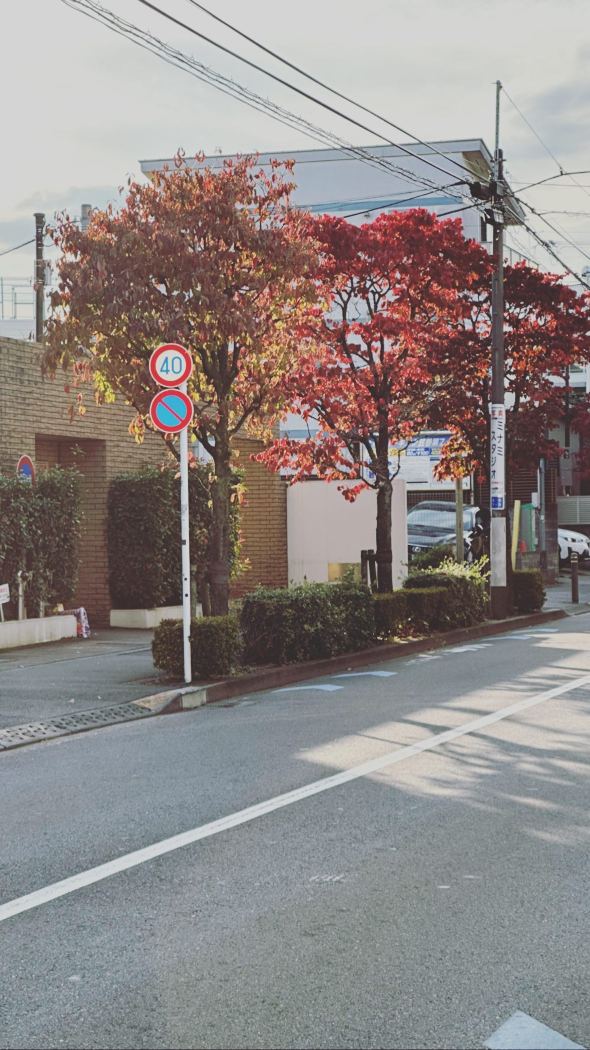 Image for post 1667134703