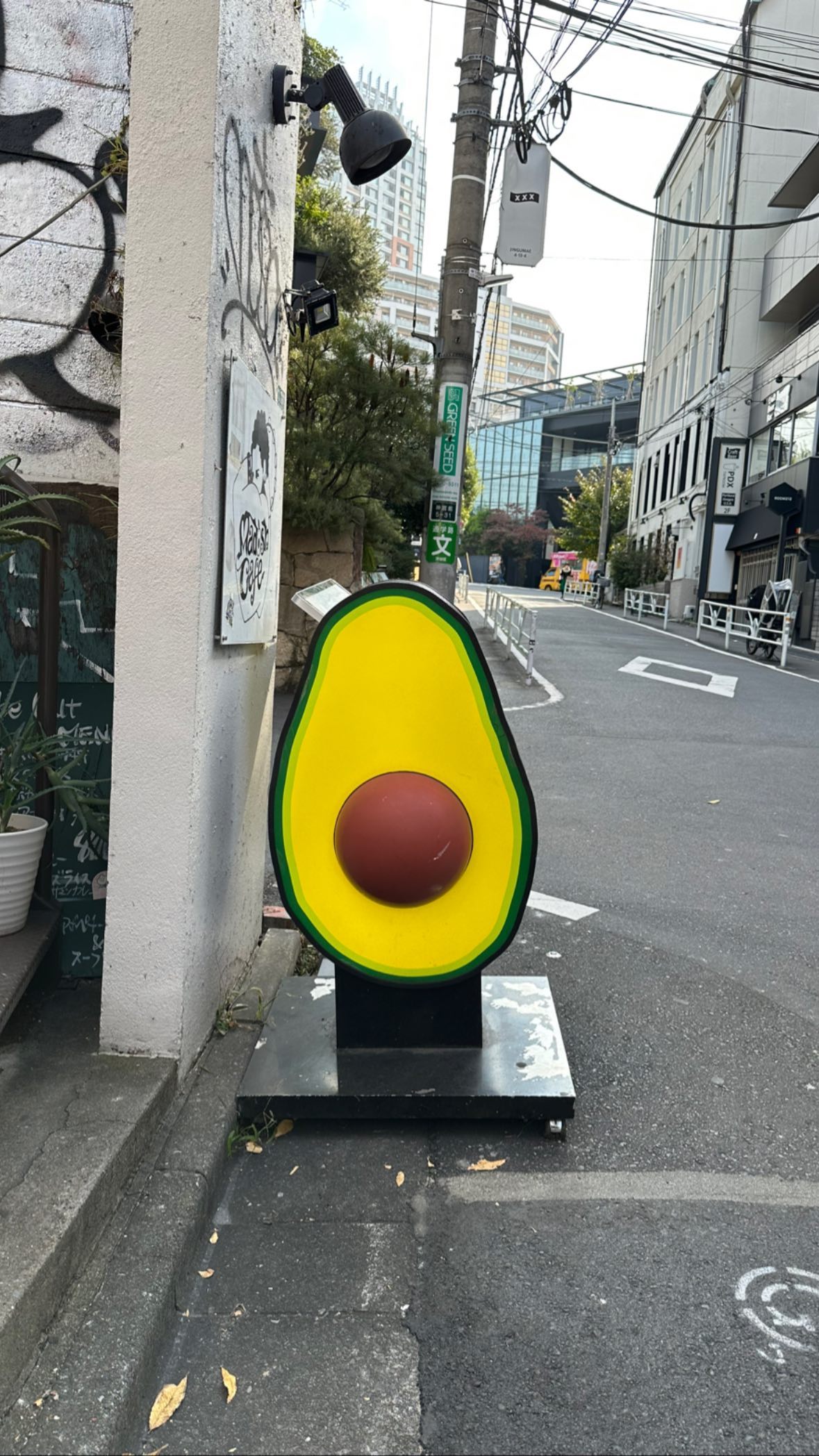 Image for post 1668156207