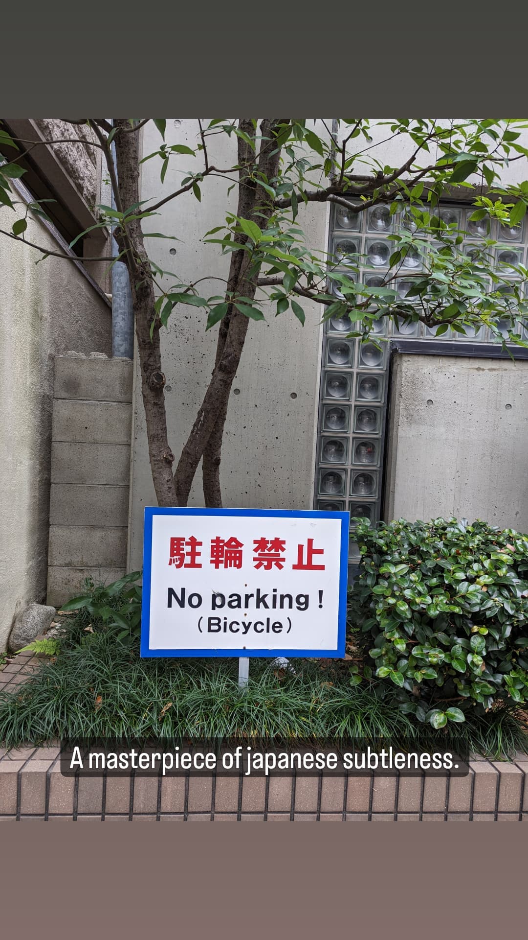 Image for post 1669639112