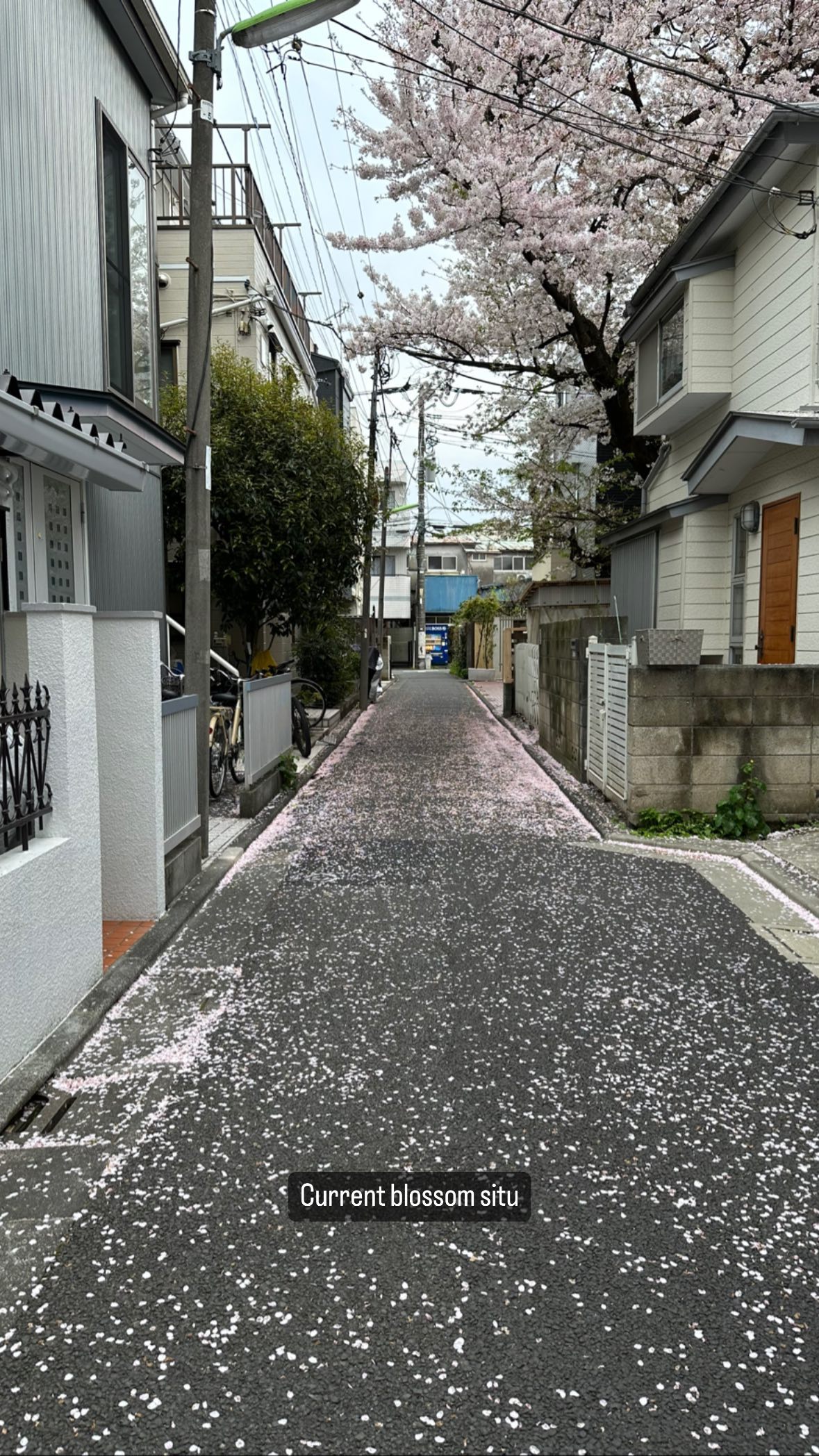 Image for post 1680321175