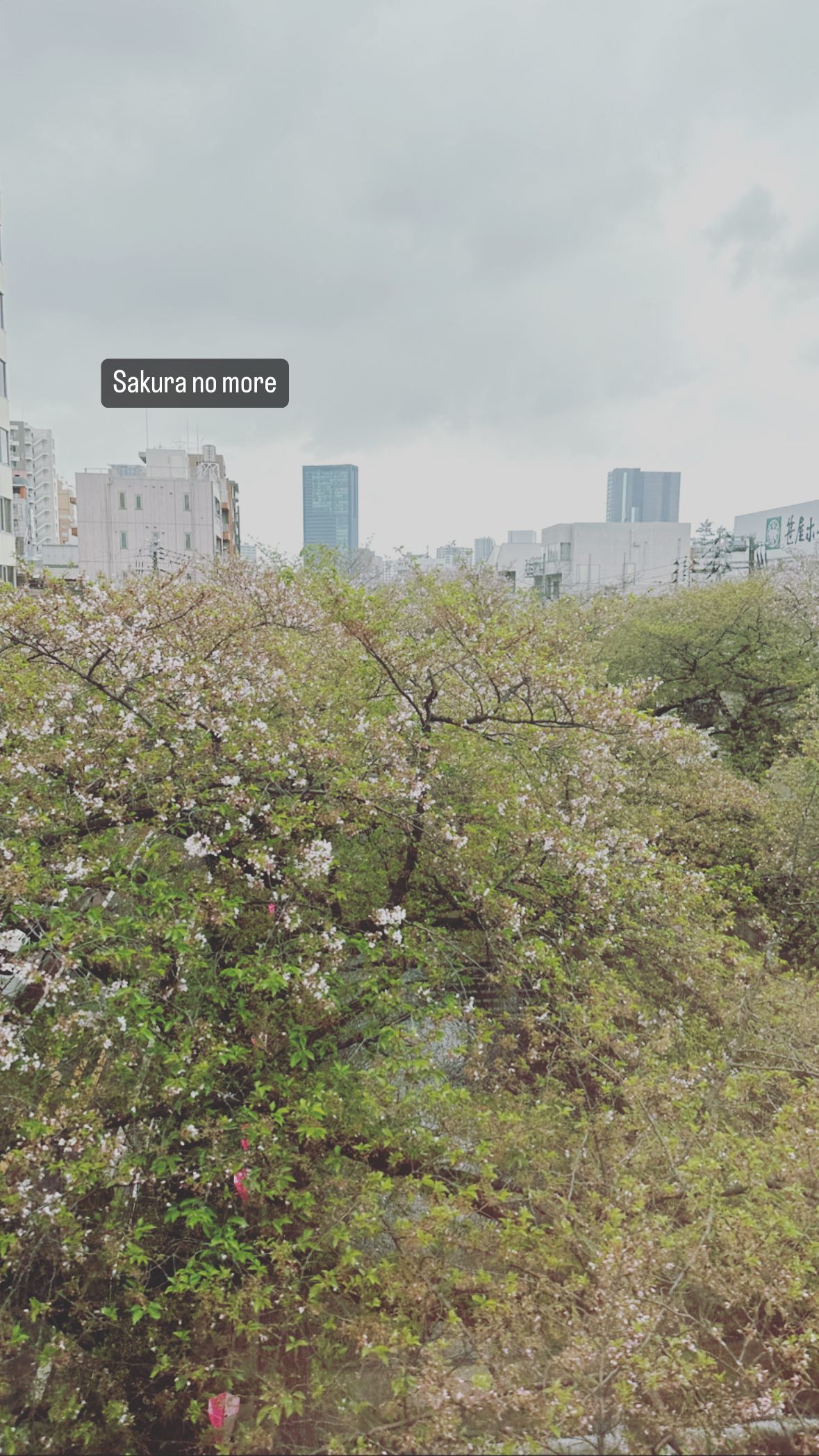 Image for post 1680865668