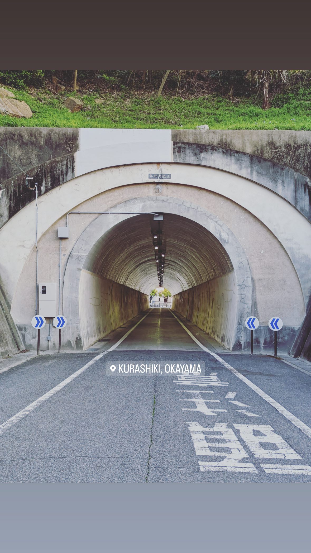 Image for post 1681264539