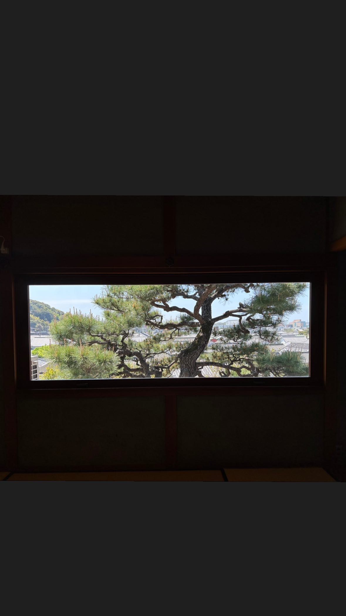 Image for post 1681268863