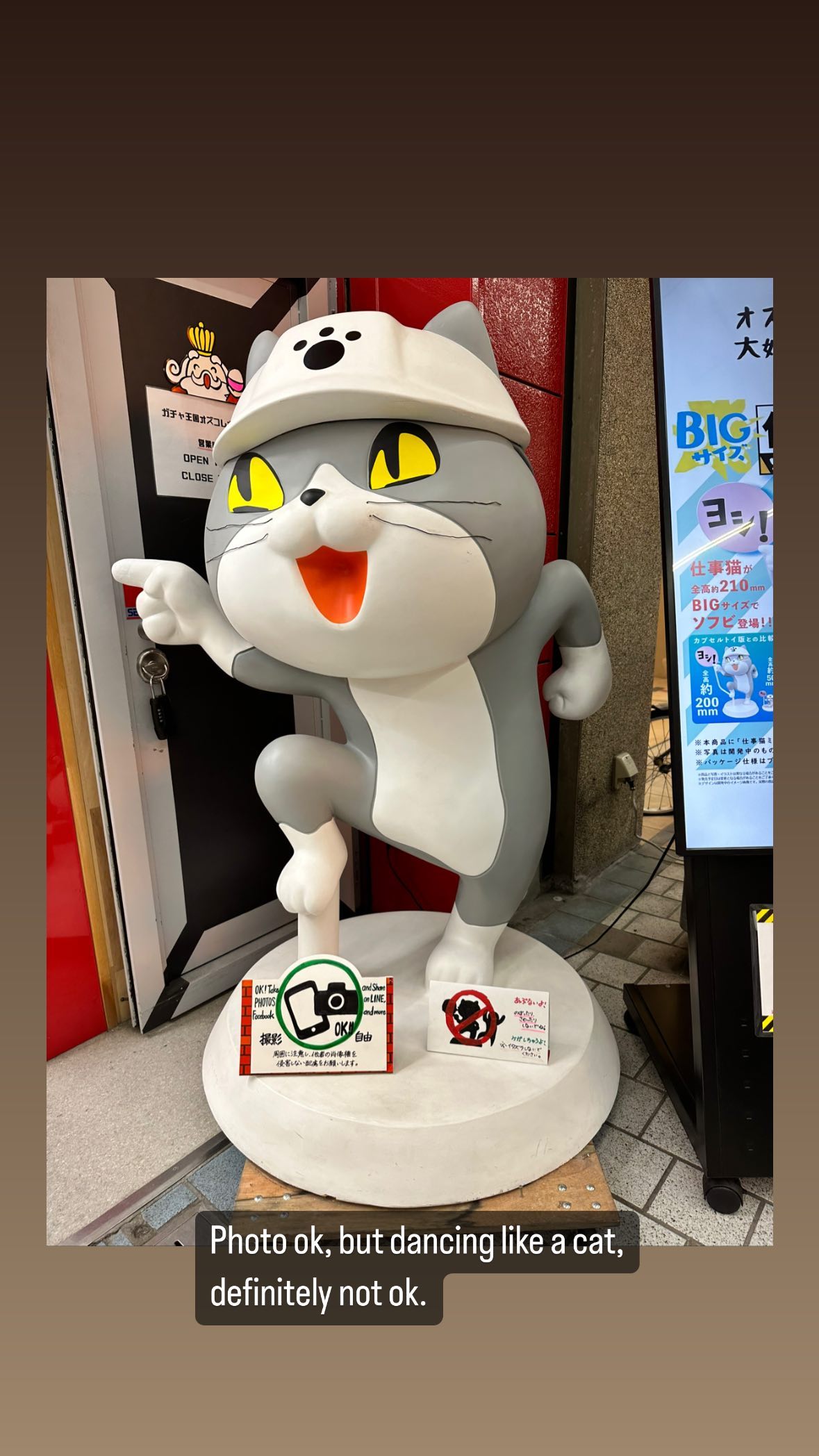Image for post 1681826458
