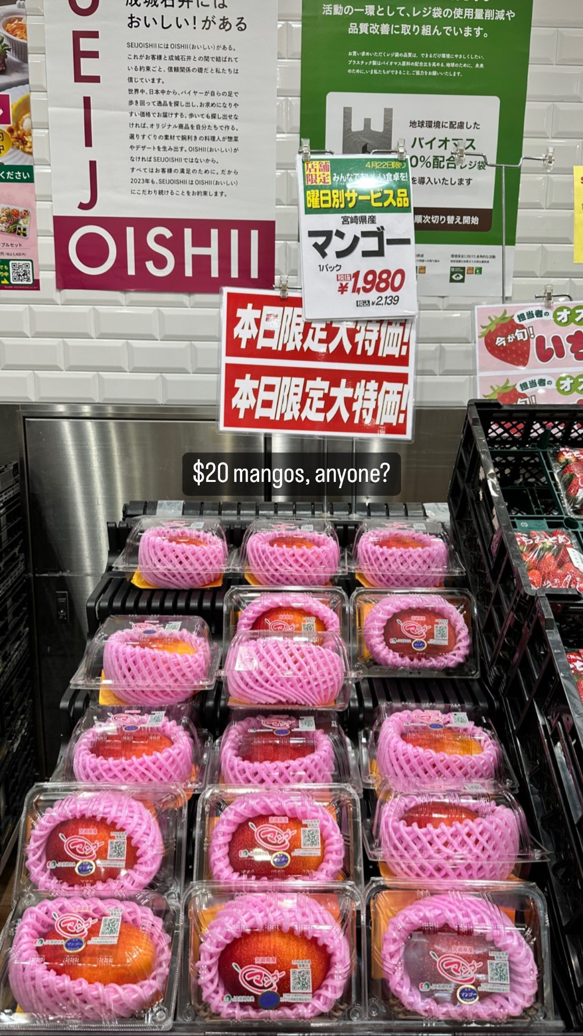 Image for post 1682209661