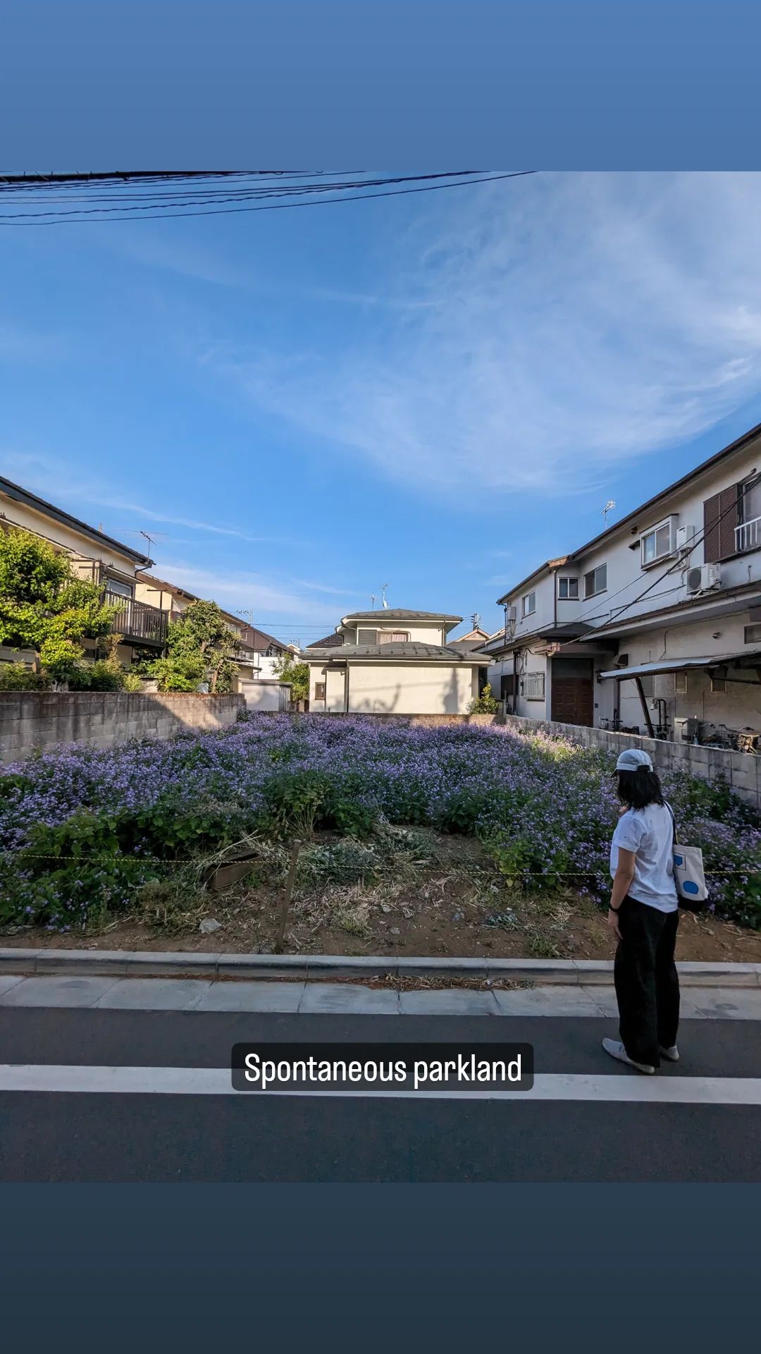 Image for post 1683108903