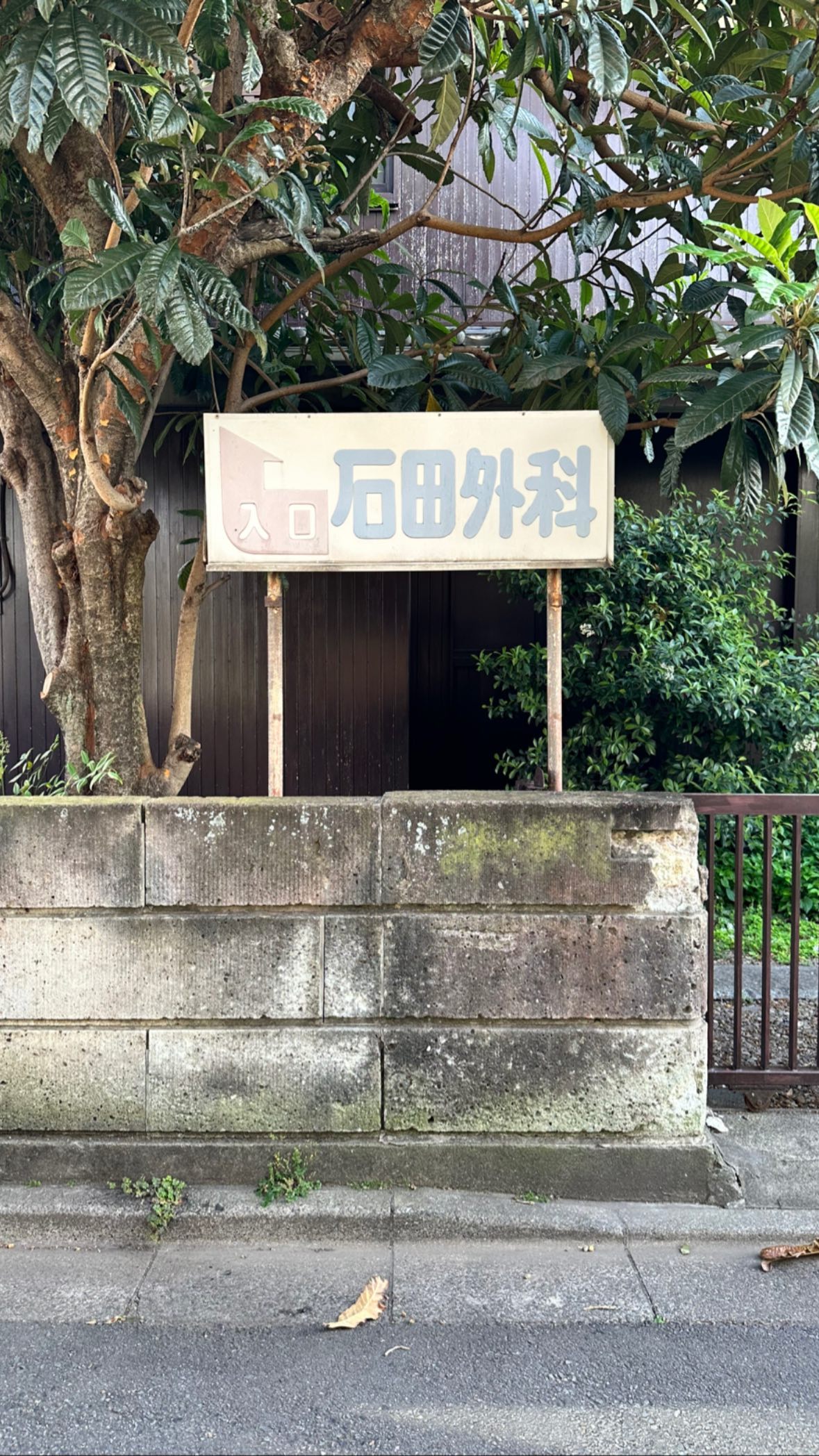Image for post 1683110911