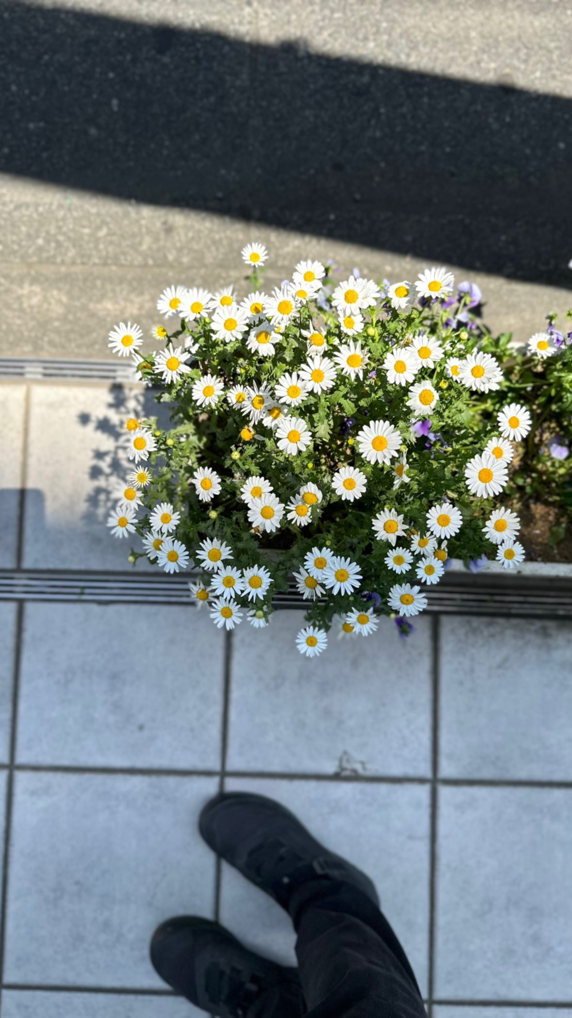 Image for post 1683174459