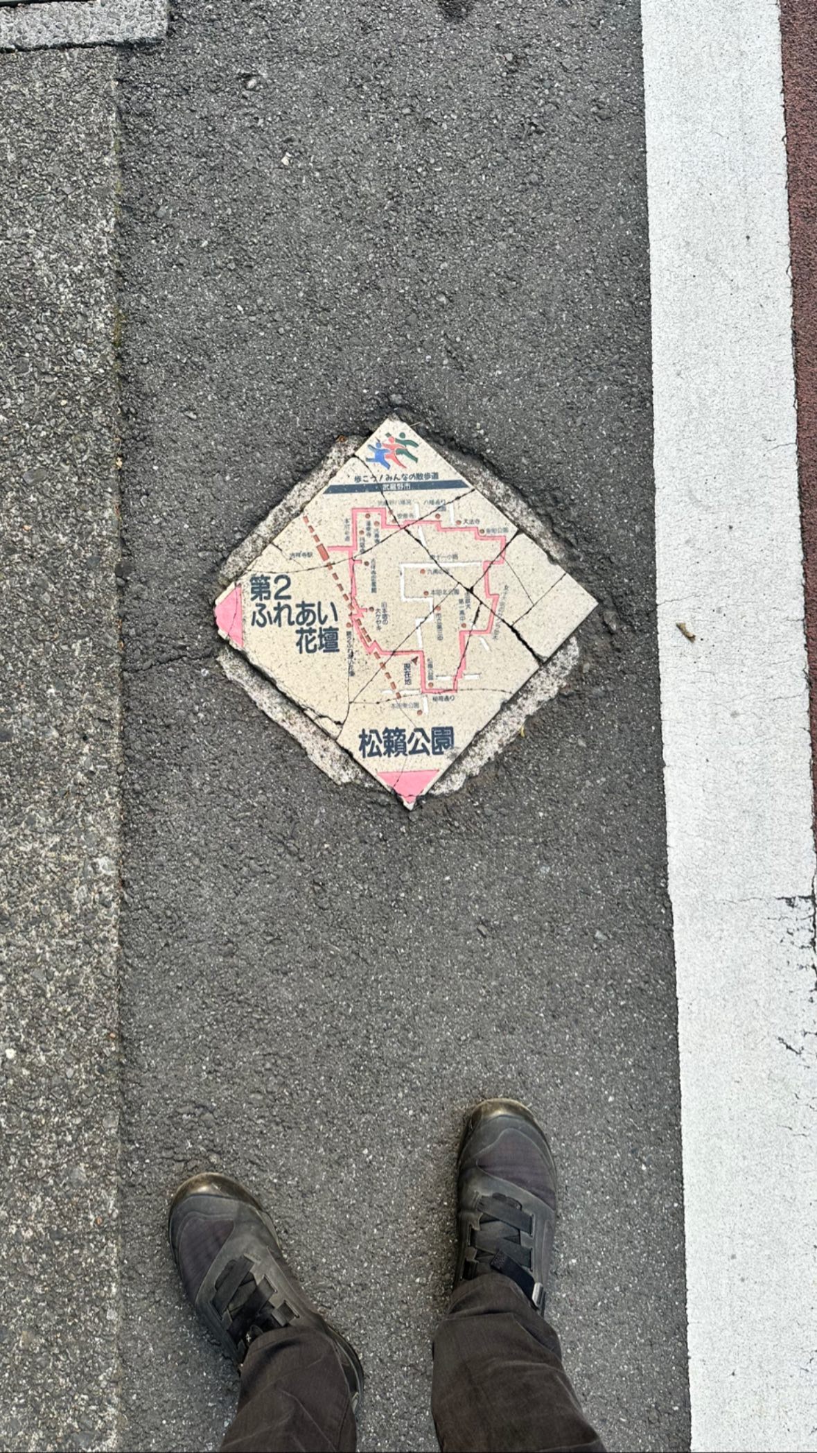 Image for post 1683194853