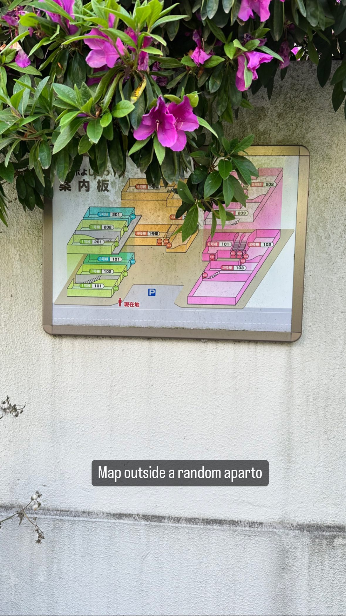 Image for post 1683194834
