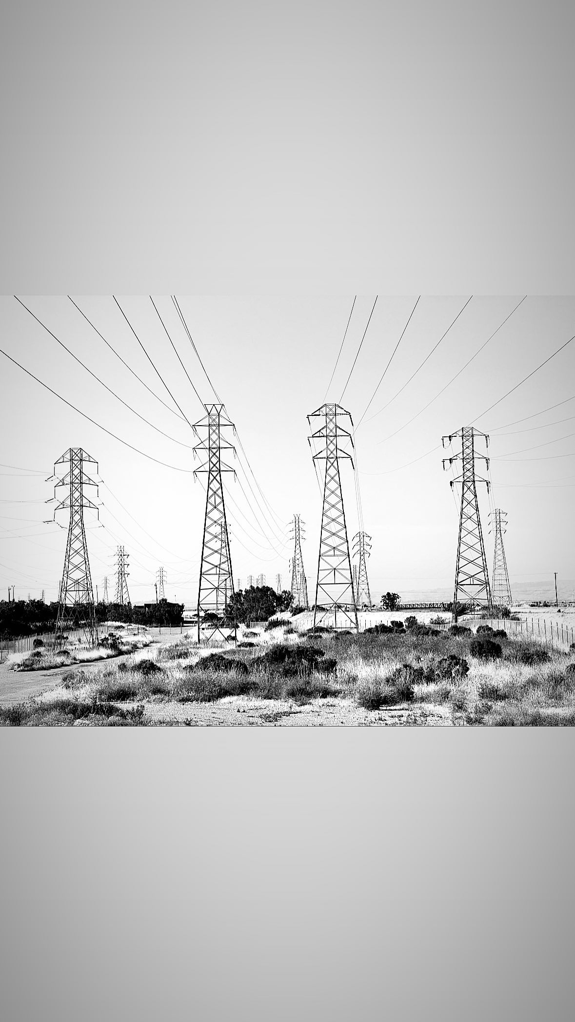 Image for post 1684987802