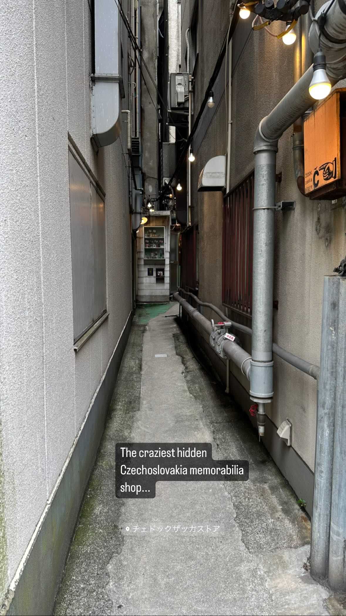 Image for post 1686835014