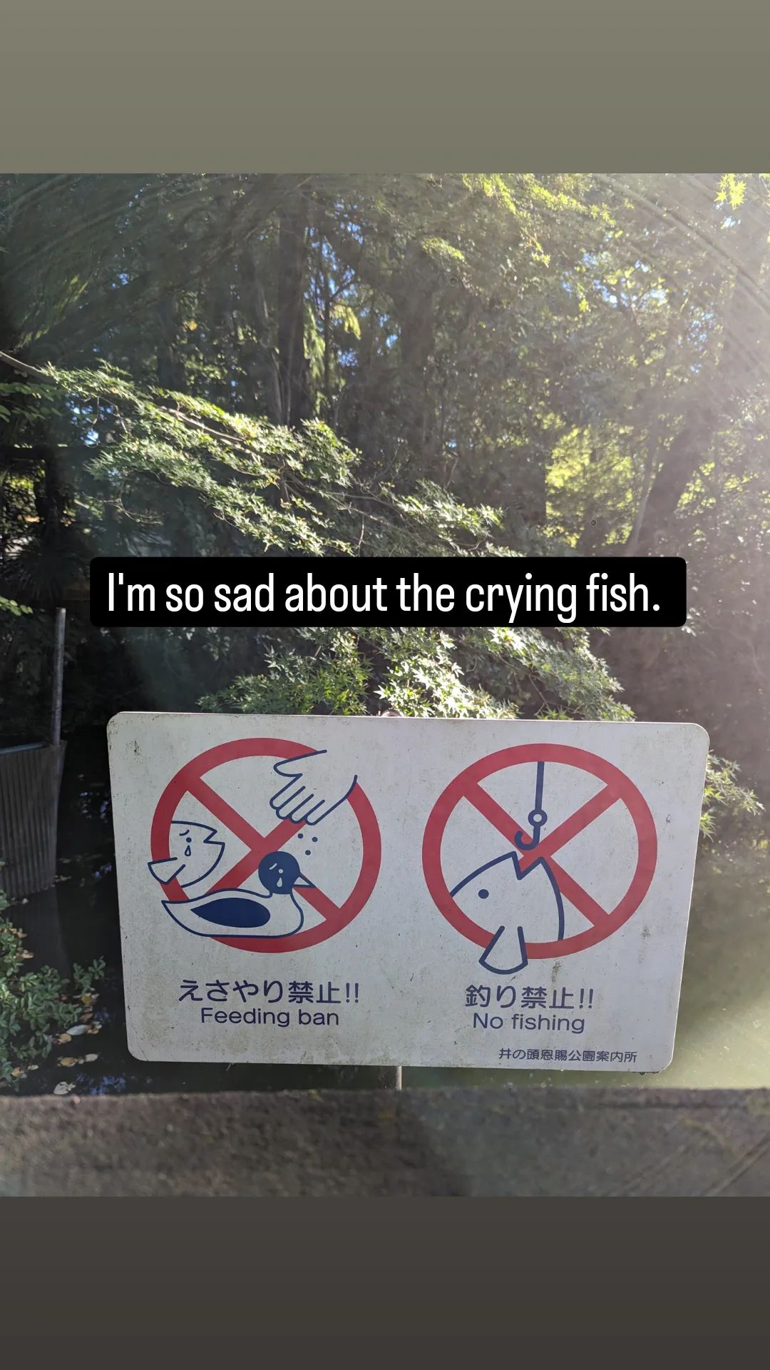 Image for post 1697446736
