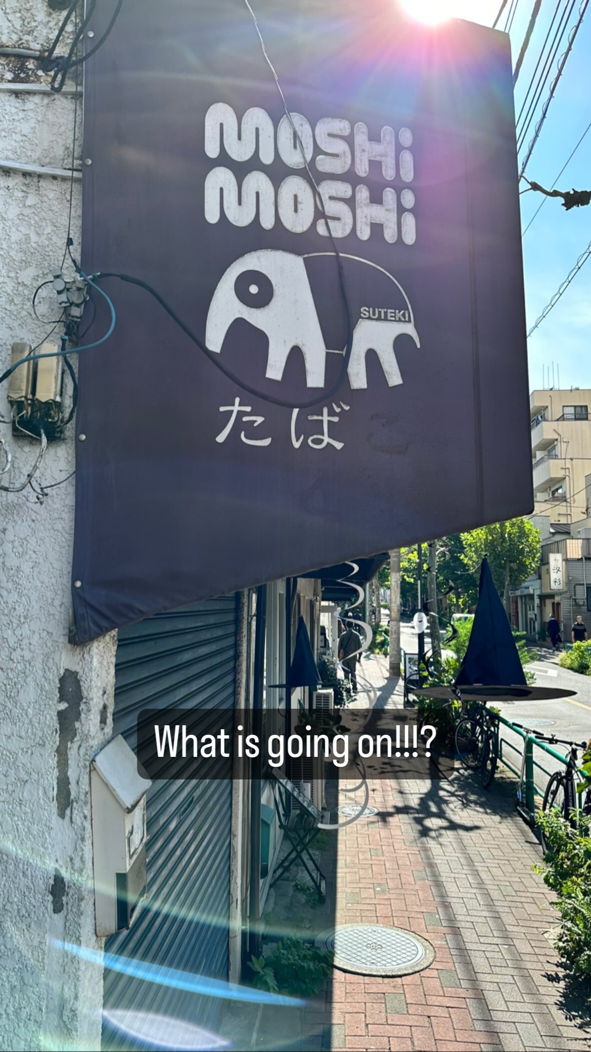 Image for post 1697536194