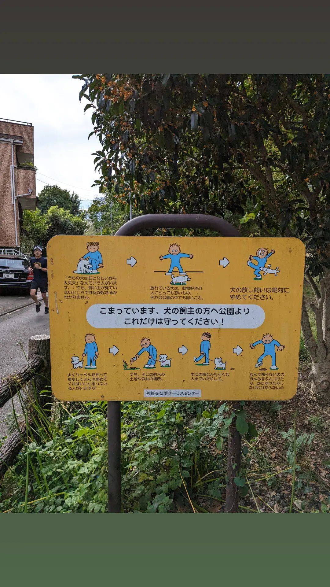 Image for post 1697246105