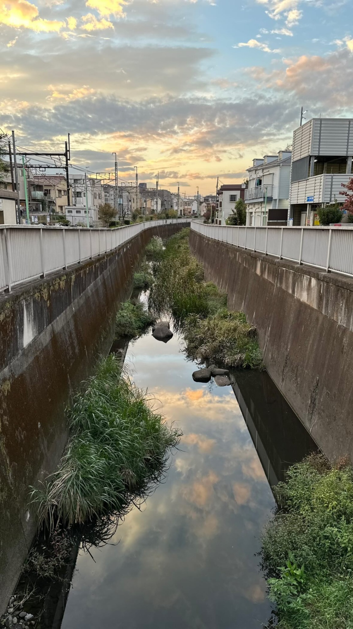 Image for post 1698889659