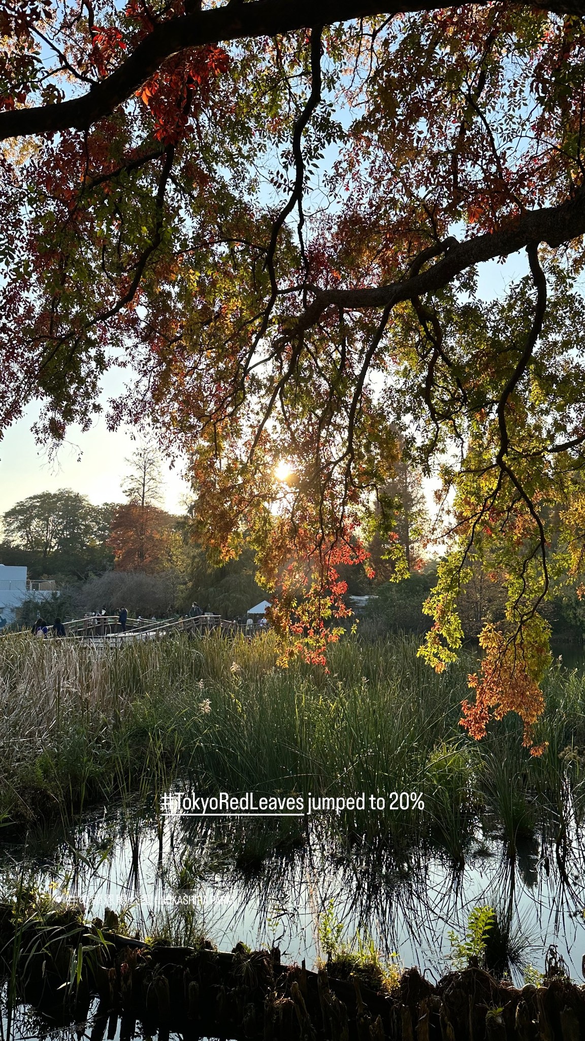 Image for post 1700689431