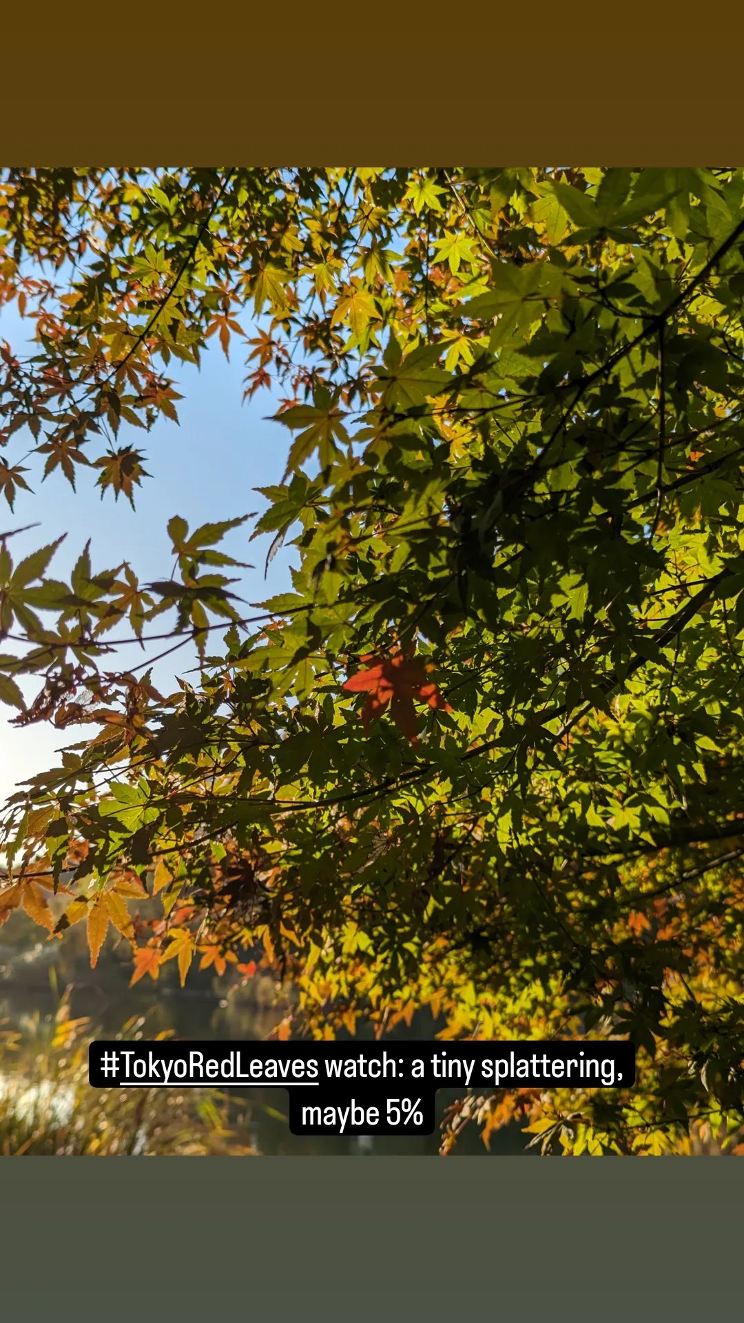 Image for post 1700520907