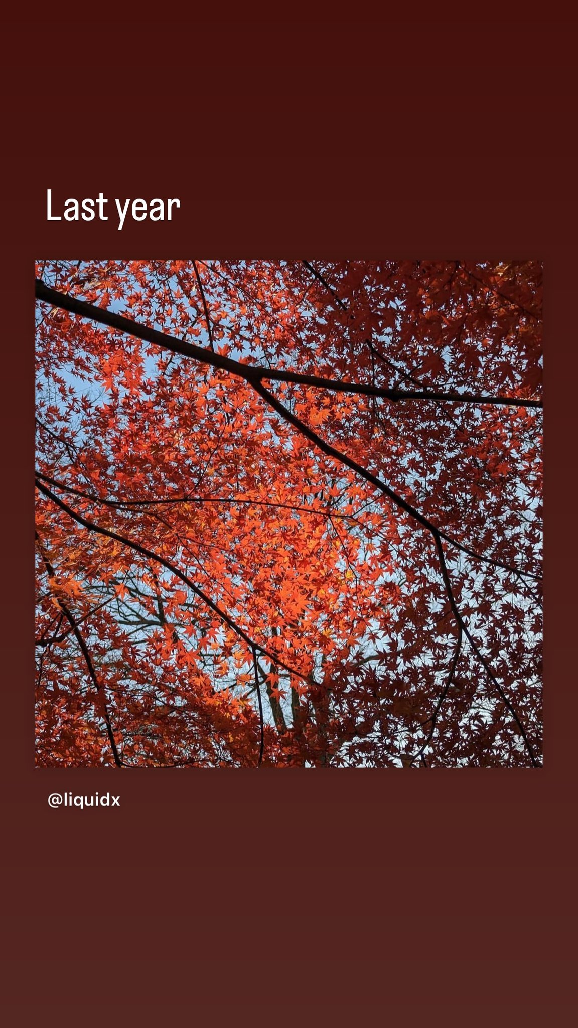 Image for post 1700789565