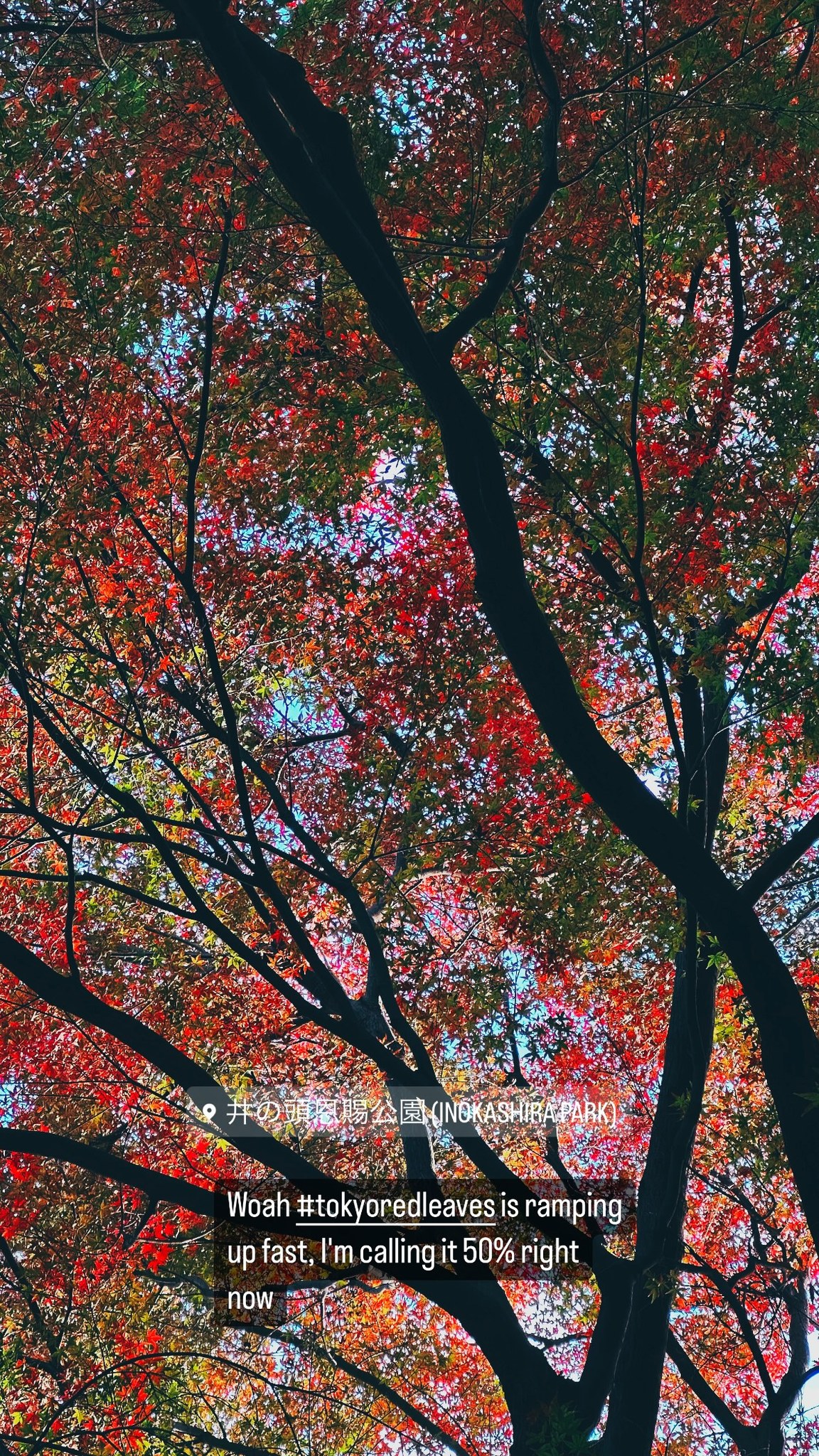Image for post 1700788703