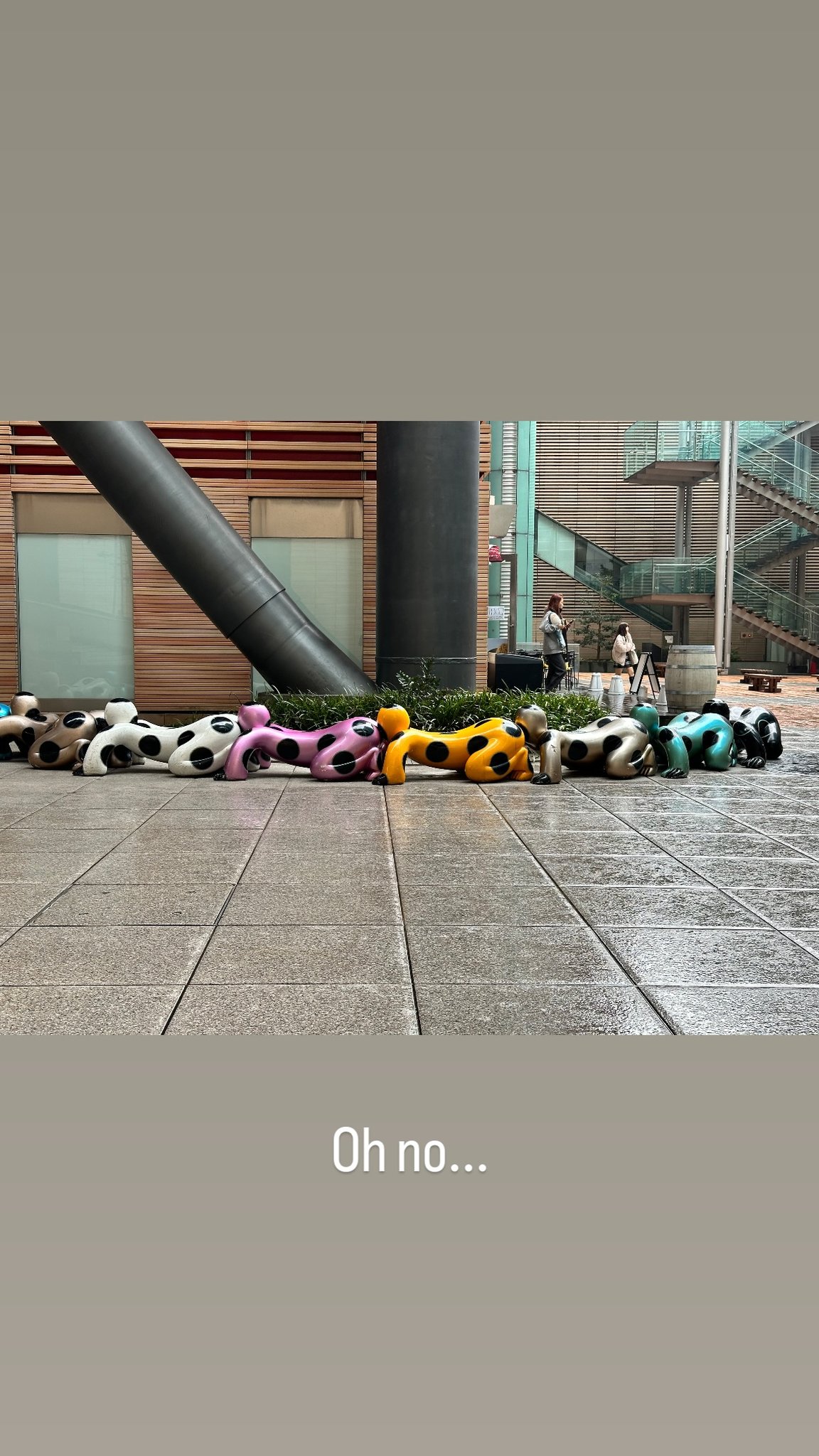 Image for post 1701147196
