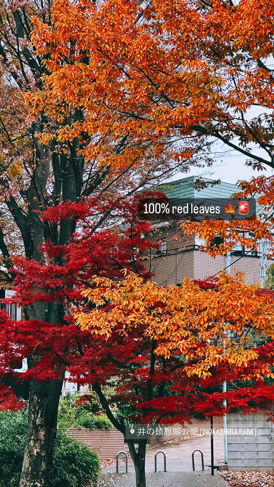 Image for post 1701765722