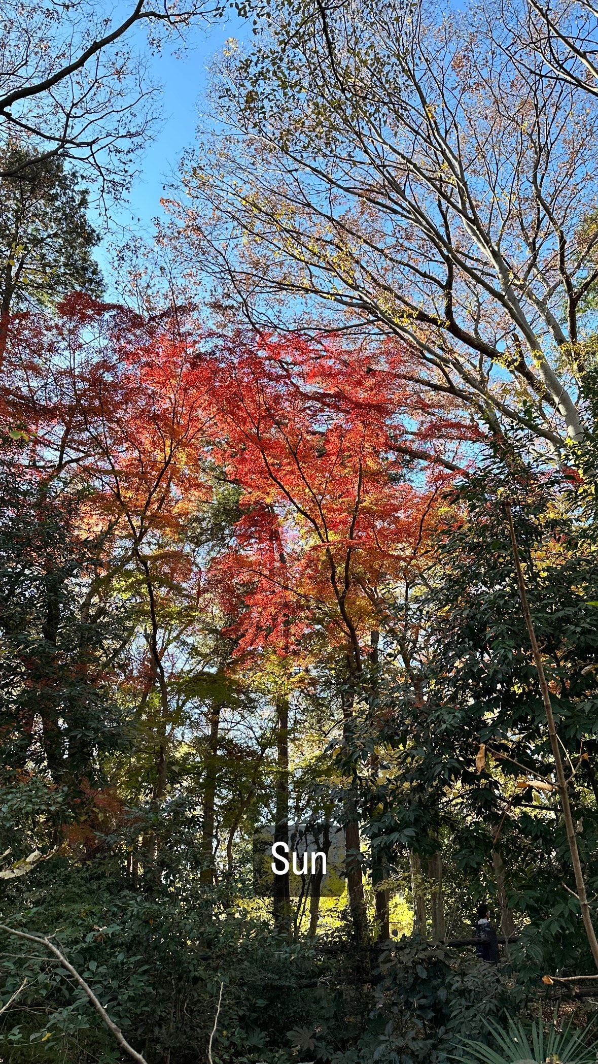 Image for post 1702163462