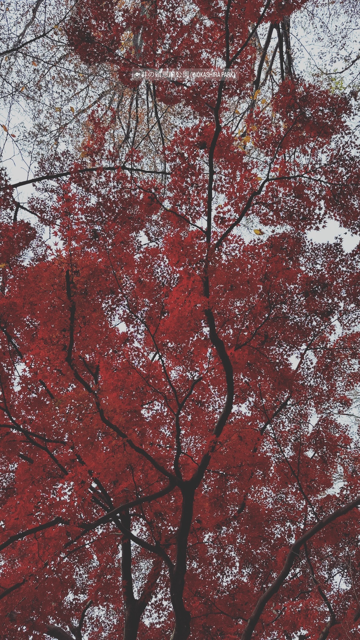 Image for post 1702297858