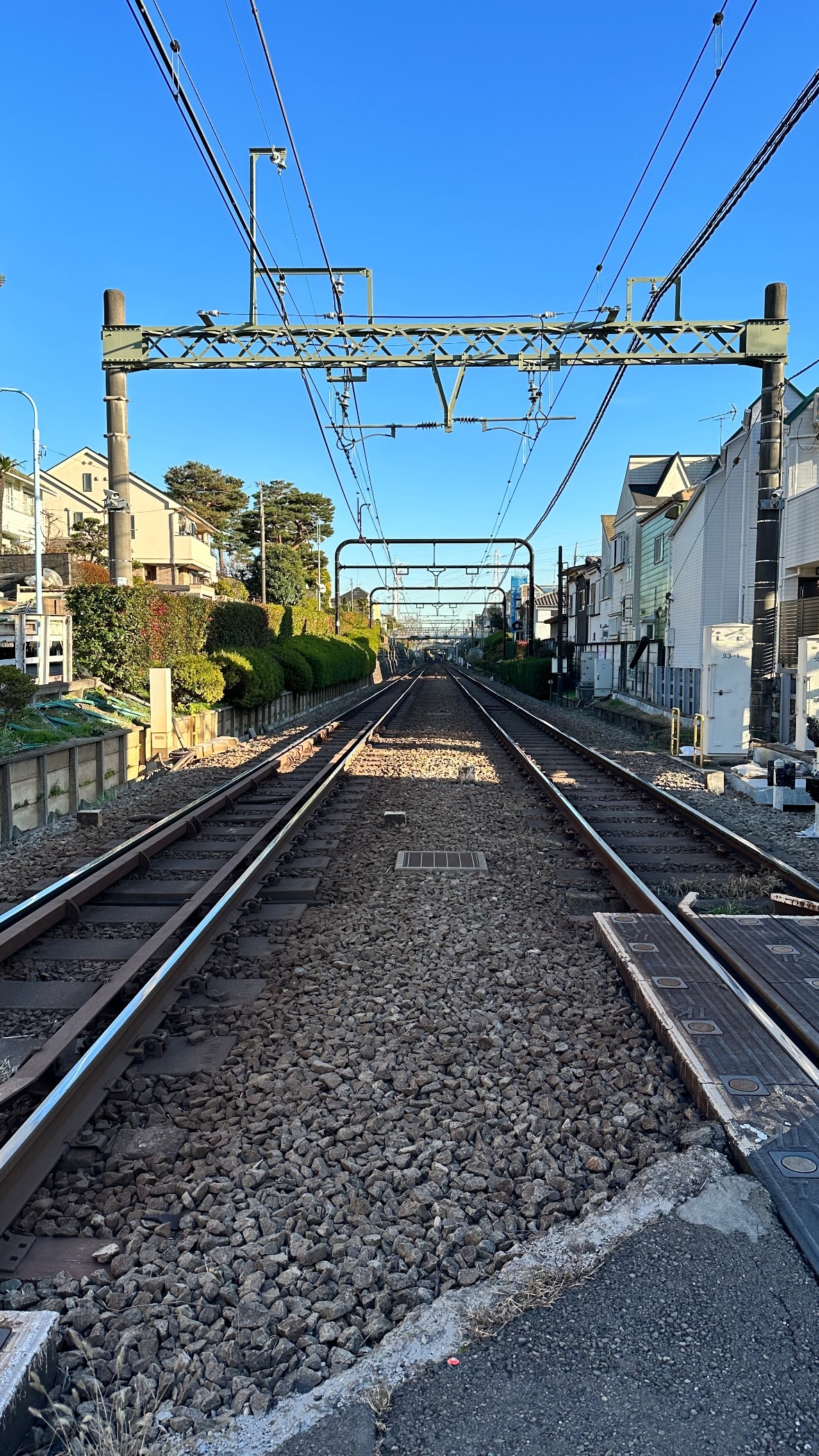 Image for post 1703428136