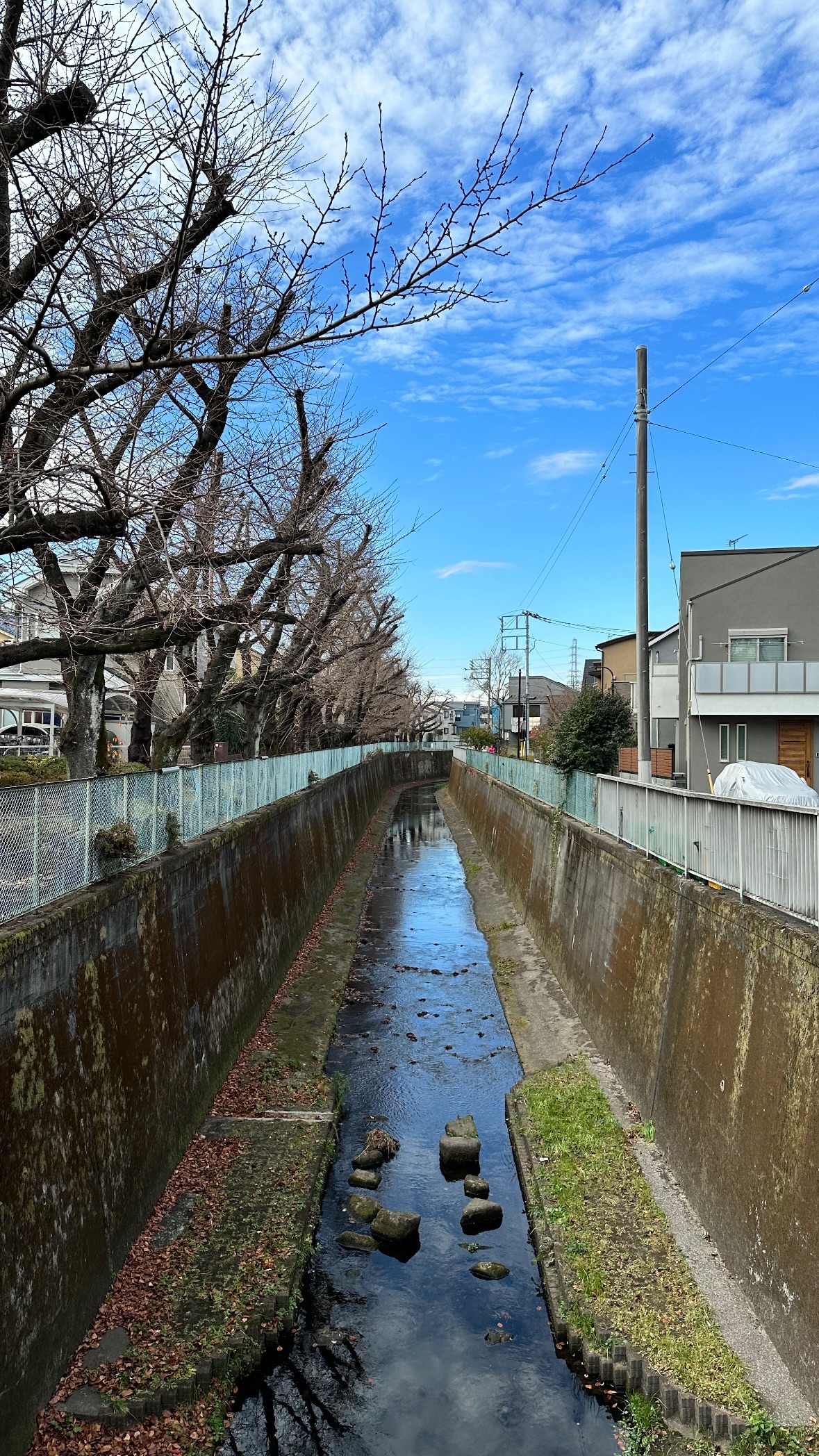 Image for post 1703683649