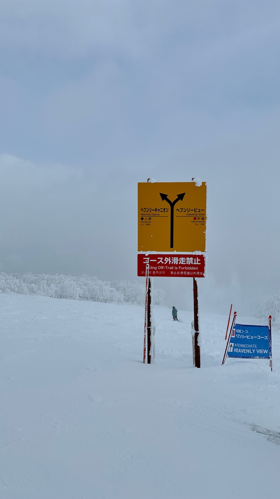 Image for post 1704895387
