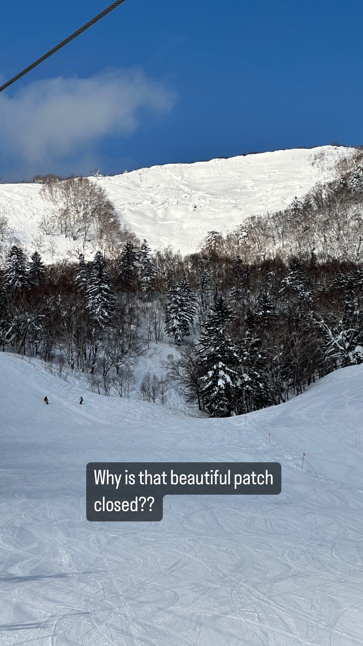 Image for post 1705586987