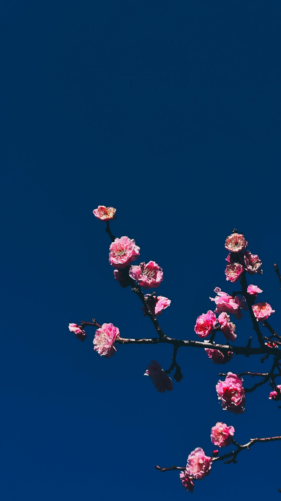 Image for post 1708950319
