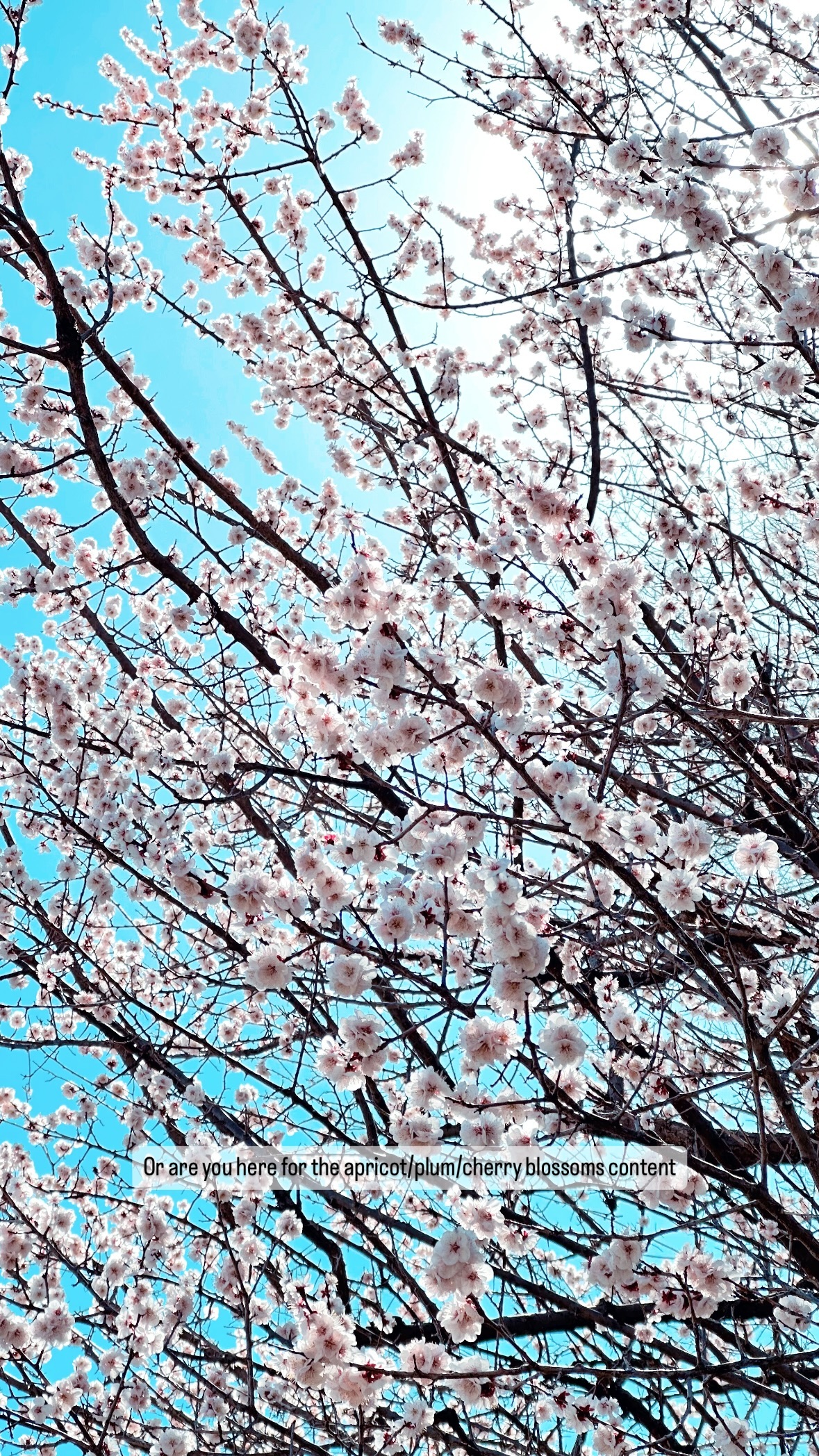 Image for post 1709185079